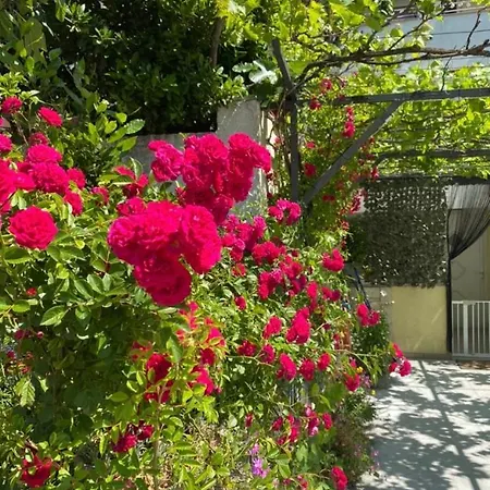 Apartman Skenderi Crikvenica