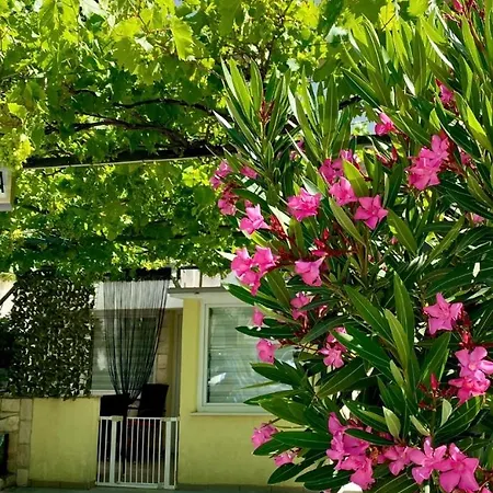 Skenderi Crikvenica