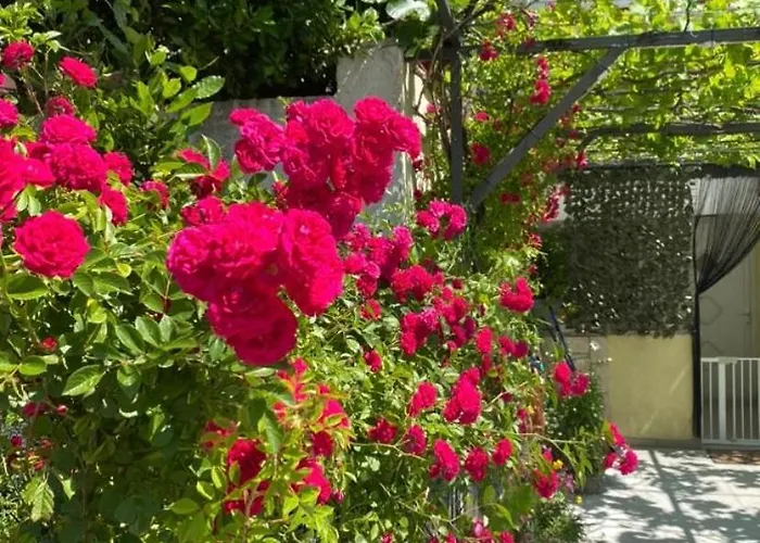 Apartman Skenderi Crikvenica